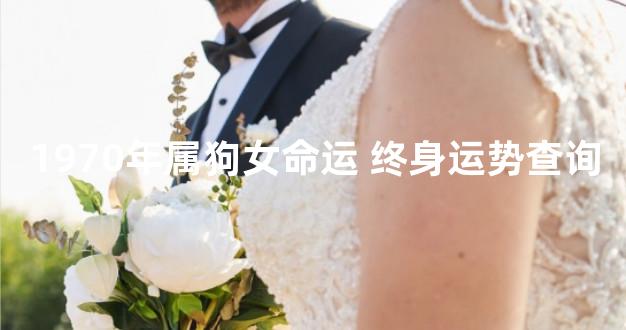 1970年属狗女命运 终身运势查询